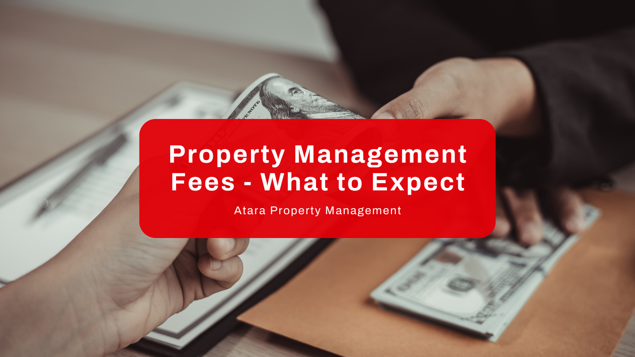 Property Management Fees - What to Expect